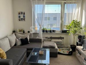 Pronájem bytu 2+1, Dolní Benešov, Petra Bezruče, 50 m2