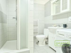 Prodej bytu 2+1, Liberec, Cesta JZD, 53 m2