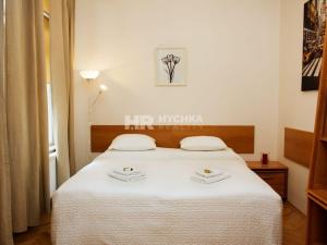 Pronájem bytu 2+kk, Praha - Nové Město, Mikulandská, 65 m2