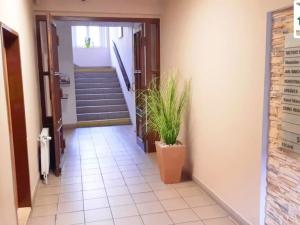 Pronájem kanceláře, Cheb, Svobody, 50 m2