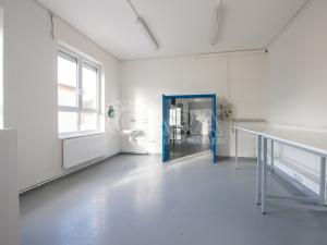 Pronájem skladu, Frenštát pod Radhoštěm, Martinská čtvrť, 484 m2
