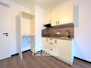 Pronájem bytu 1+kk, Olomouc, Šantova, 28 m2
