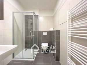 Pronájem bytu 1+kk, Olomouc, Šantova, 28 m2