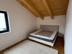Prodej rodinného domu, Loučná pod Klínovcem, 180 m2