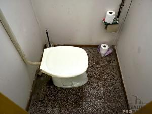 Pronájem obchodního prostoru, Tulešice, 201 m2