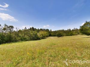 Prodej louky, Samopše, 14836 m2
