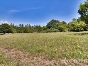 Prodej louky, Samopše, 14836 m2