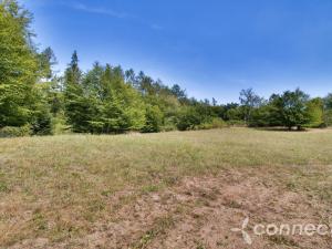 Prodej louky, Samopše, 14836 m2