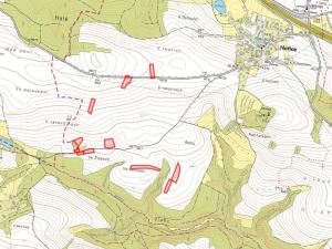 Prodej pole, Hořice, 32824 m2