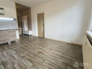 Pronájem bytu 1+1, Sokolov, Jelínkova, 35 m2