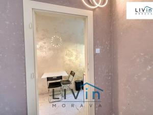 Pronájem bytu 1+1, Olomouc, Starodružiníků, 28 m2