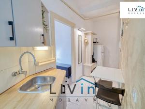 Pronájem bytu 1+1, Olomouc, Starodružiníků, 28 m2