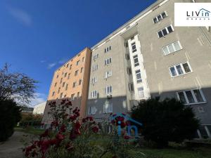 Pronájem bytu 1+1, Olomouc, Starodružiníků, 28 m2