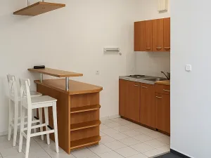 Pronájem bytu 1+kk, Praha - Vysočany, bratří Dohalských, 40 m2