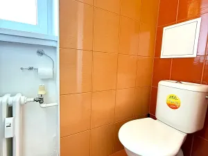 Pronájem bytu 3+1, Hodonín, Horní Valy, 60 m2