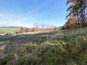 Prodej pozemku pro bydlení, Daleké Dušníky, 1217 m2