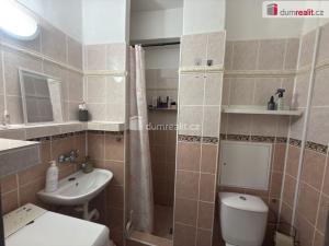 Pronájem bytu 1+kk, Ústí nad Labem - Střekov, Střekovské nábřeží, 27 m2