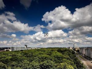 Pronájem kanceláře, Praha - Žižkov, Vinohradská, 387 m2