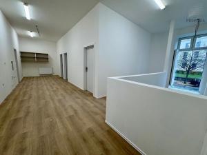Pronájem ubytování, Brno, Štefánikova, 300 m2