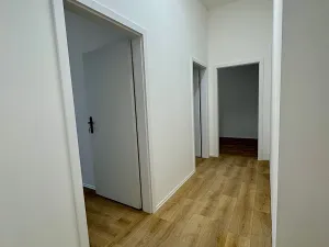 Pronájem ubytování, Brno, Štefánikova, 300 m2