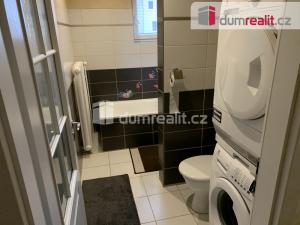 Pronájem bytu 3+1, Ústí nad Labem - Střekov, Pionýrů, 56 m2