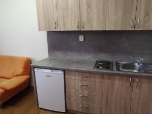 Pronájem bytu 1+1, Staré Město, Velehradská, 35 m2