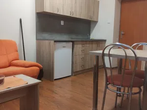 Pronájem bytu 1+1, Staré Město, Velehradská, 35 m2