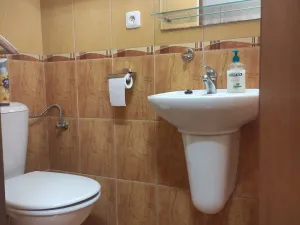 Pronájem bytu 1+1, Staré Město, Velehradská, 35 m2