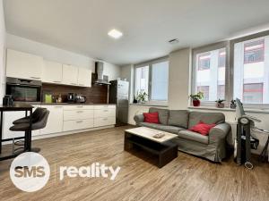 Pronájem bytu 1+kk, Opava - Předměstí, Provaznická, 39 m2