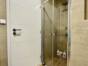 Pronájem bytu 1+kk, Opava - Předměstí, Provaznická, 39 m2