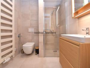 Pronájem bytu 1+kk, Praha - Velká Chuchle, Na hvězdárně, 48 m2