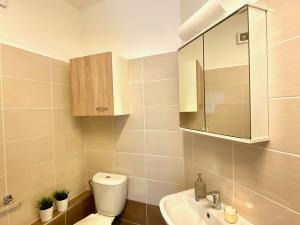 Pronájem bytu 1+kk, Benátky nad Jizerou, Pražská, 30 m2