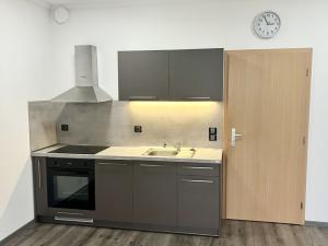 Pronájem bytu 1+kk, Karlovy Vary - Stará Role, Kryzánkova, 34 m2