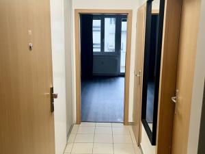 Pronájem bytu 1+kk, Karlovy Vary - Stará Role, Kryzánkova, 34 m2