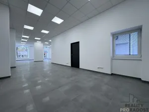 Pronájem obchodního prostoru, Hodonín, Národní třída, 119 m2