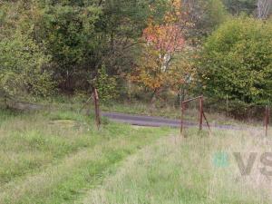 Prodej pozemku, Solenice, 44692 m2