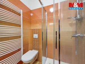 Prodej bytu 1+1, Ústí nad Orlicí, 17. listopadu, 37 m2