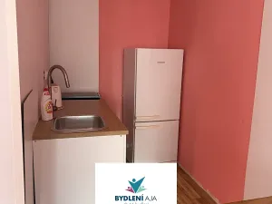 Pronájem bytu 1+kk, Teplice, Přítkovská, 32 m2