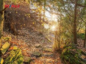 Prodej chaty, Zruč-Senec, 30 m2