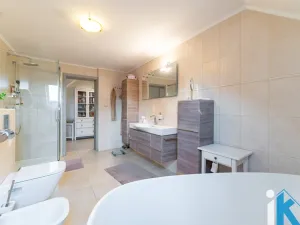 Prodej rodinného domu, Mostkovice, Na Paloučku, 240 m2