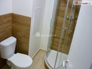 Pronájem bytu 1+kk, Břeclav, J. Palacha, 20 m2