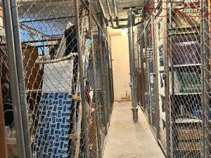 Prodej bytu 3+1, Smržovka, Luční, 80 m2