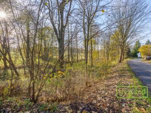 Prodej rybníku, Bochov - Dlouhá Lomnice, 5195 m2