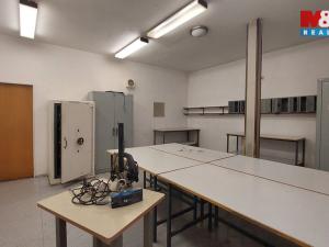 Pronájem obchodního prostoru, Ústí nad Orlicí, T. G. Masaryka, 500 m2