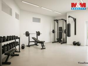 Prodej rodinného domu, Písek - Budějovické Předměstí, Tyršova, 315 m2