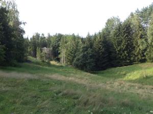 Dražba louky, Dolní Dobrouč, 71151 m2