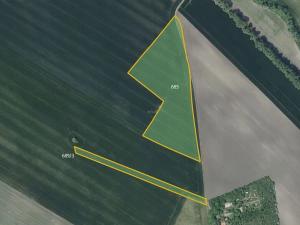 Prodej pole, Děčany, 78982 m2