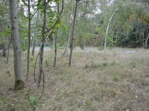 Prodej zahrady, Liberec, 1233 m2
