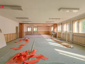 Prodej výrobních prostor, Úpice, Dr. Teuchmanna, 1817 m2