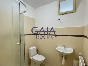 Prodej rodinného domu, Strážnice, Dúbrava, 221 m2